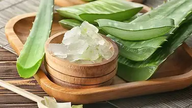 Aloe vera en tu piel, ¿realmente funciona? Aloe vera en tu piel, ¿realmente funciona?