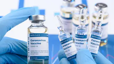México recibirá 5,53 millones de dosis de plataforma Covax entre abril y mayo México recibirá 5,53 millones de dosis de plataforma Covax entre abril y mayo