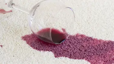 Aprende a eliminar las manchas de las alfombras Aprende a eliminar las manchas de las alfombras