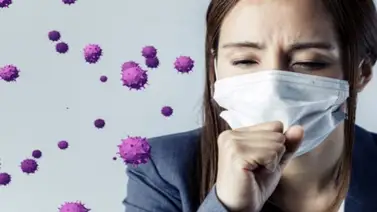 Sube tus defensas consumiendo estos alimentos Sube tus defensas consumiendo estos alimentos