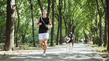 Conoce en qué favorece entrenar junto a la mascota Conoce en qué favorece entrenar junto a la mascota