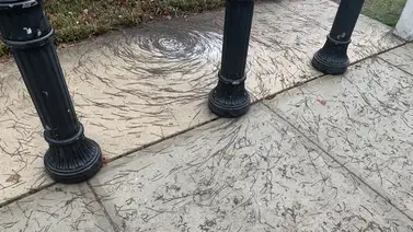 Extraño "tornado de lombrices" deja desconcertados a los científicos en EE.UU. (Fotos) Extraño "tornado de lombrices" deja desconcertados a los científicos en EE.UU. (Fotos)