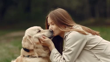 ¿Qué pasa cuando los perritos envejecen?