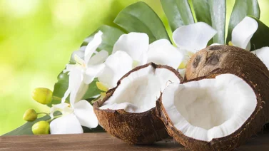Beneficios del coco para estar sanos y bellos
