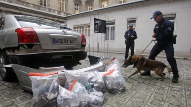 Francia realiza experimento de 2 años con marihuana medicinal