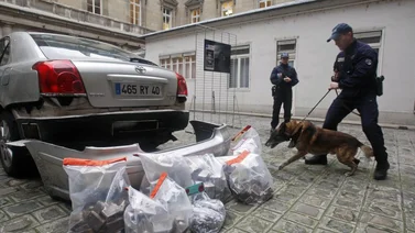 Francia realiza experimento de 2 años con marihuana medicinal