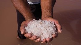 Descubren que los antiguos mayas usaban la sal como dinero hace más de 1.100 años