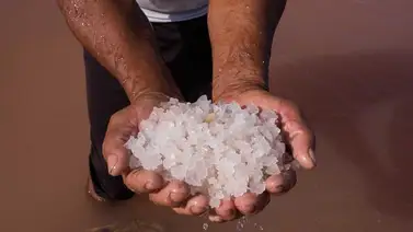 Descubren que los antiguos mayas usaban la sal como dinero hace más de 1.100 años Descubren que los antiguos mayas usaban la sal como dinero hace más de 1.100 años