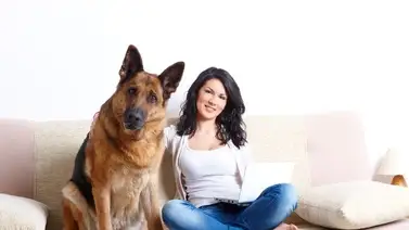 Perritos y la depresión Perritos y la depresión