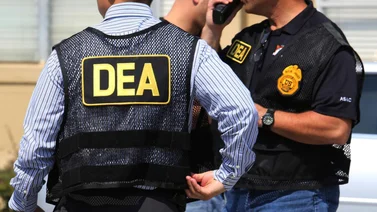 Un avión de la DEA trasladará a Álex Saab a EE.UU., según Carlos Paparoni