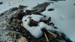 "Skeleton Lake", el lago plagado de esqueletos del Himalaya