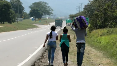 Criollos viajan con particulares o colas