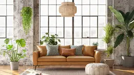 Atrae energías positivas con el toque natural de las plantas