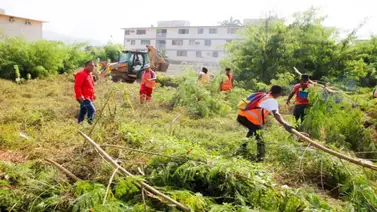 Inició saneamiento en la franja de seguridad en Puerto La Cruz Inició saneamiento en la franja de seguridad en Puerto La Cruz
