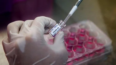 Variante brasileña de COVID consigue evadir sistema inmune, según estudio