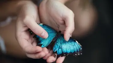 1 de marzo se conmemora el Día de la Cero Discriminación 1 de marzo se conmemora el Día de la Cero Discriminación