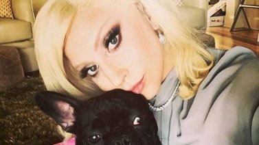 Lady Gaga recupera ilesos a los dos perros que le habían robado