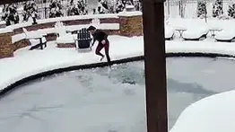Rescate milagroso: una mujer logra sacar a su perro de una piscina helada (VIDEO)