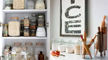 Elimina los gorgojos de tu cocina Elimina los gorgojos de tu cocina