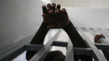 Privados de libertad cuatro hombres por hurtar un caballo