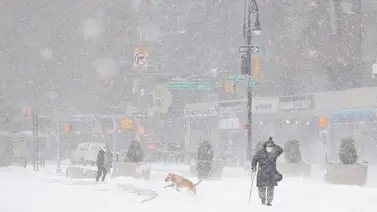 Usuarios demandan a red eléctrica de Texas tras tormenta Usuarios demandan a red eléctrica de Texas tras tormenta