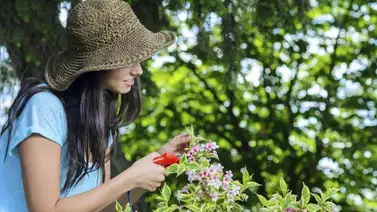 Es posible cuidar el planeta, vive verde y en equilibrio Es posible cuidar el planeta, vive verde y en equilibrio