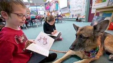 Los perros pueden ayudar a los niños en el aprendizaje