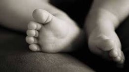 Abandonan a bebé recién nacido en un terreno baldío de Barinas