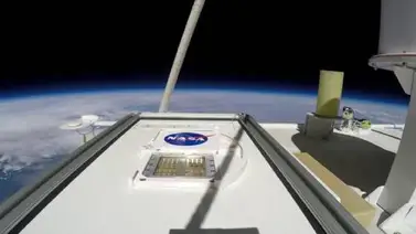 Algunas formas de vida terrestre podrían sobrevivir temporalmente en Marte Algunas formas de vida terrestre podrían sobrevivir temporalmente en Marte