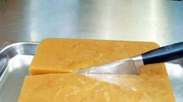 Gelatina de pata
