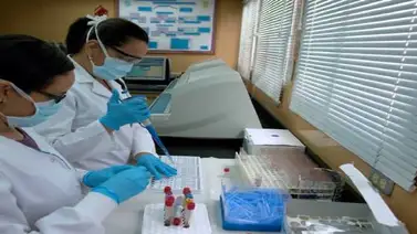 Bioanalistas sufren "desgaste" físico y psicológico por déficit de personal Bioanalistas sufren "desgaste" físico y psicológico por déficit de personal