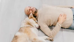 Trucos para lograr el equilibrio de tu perro