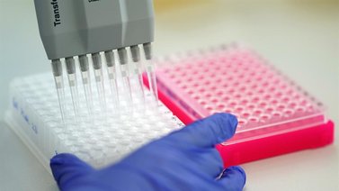 Reino Unido aprueba estudio anticovid donde se infecta a gente sana