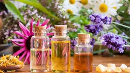 Flores de Bach para tu salud
