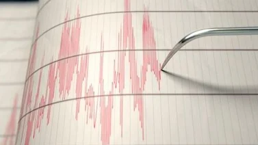 Cadena de terremotos sacude el Pacífico Sur tras la alerta de tsunami