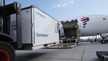 Brasil transportará vacunas en neveras de vendedores ambulantes del Carnaval Brasil transportará vacunas en neveras de vendedores ambulantes del Carnaval