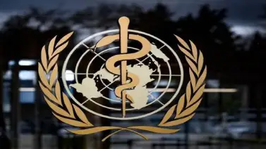 Jefe misión OMS: todo continúa señalando a un origen del virus en murciélagos Jefe misión OMS: todo continúa señalando a un origen del virus en murciélagos