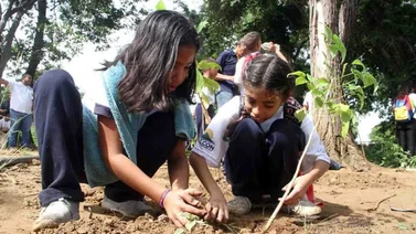 Sector educativo arrancó la ruta del Bosque Bicentenario en Falcón