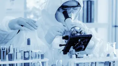 Científicos advierten que el COVID podría reducir la fertilidad masculina Científicos advierten que el COVID podría reducir la fertilidad masculina