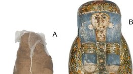 Una momia egipcia con un raro tratamiento mortuorio, un caparazón de barro