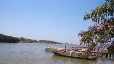 Anzoátegui: Reabrirán boca de la laguna de Puerto Píritu