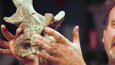 Fósil encontrado podría ser del animal terrestre más grande del planeta