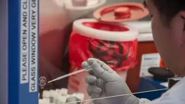 OMS: Cepa británica está presente en 58 países y la sudafricana en 22 OMS: Cepa británica está presente en 58 países y la sudafricana en 22