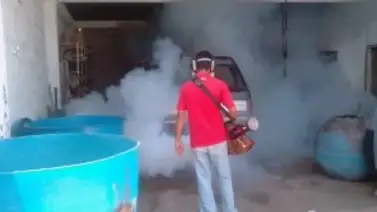 Activan Plan Nacional de Control del Dengue en Portuguesa Activan Plan Nacional de Control del Dengue en Portuguesa