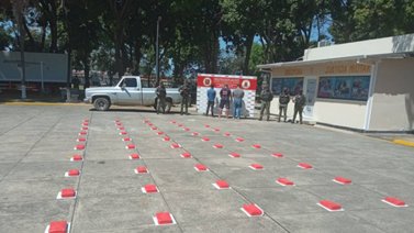 Incautan 60 kilos de marihuana ocultos en zona boscosa de Barinas