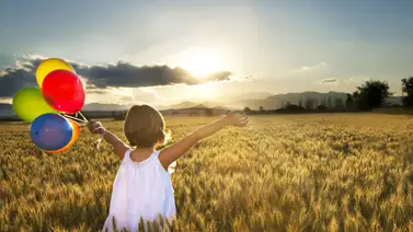 Gratitud, reflejo del alma Gratitud, reflejo del alma