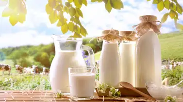 La leche: El alimento más completo La leche: El alimento más completo