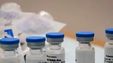 Brasil rechazó solicitud para evaluar el uso de la vacuna Sputnik V Brasil rechazó solicitud para evaluar el uso de la vacuna Sputnik V