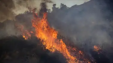 Incendio forestal en el centro de Chile obliga a evacuar a 25.000 personas Incendio forestal en el centro de Chile obliga a evacuar a 25.000 personas