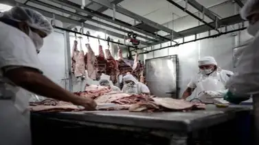 El consumo de carne vacuna de los argentinos cae a su mínimo histórico El consumo de carne vacuna de los argentinos cae a su mínimo histórico